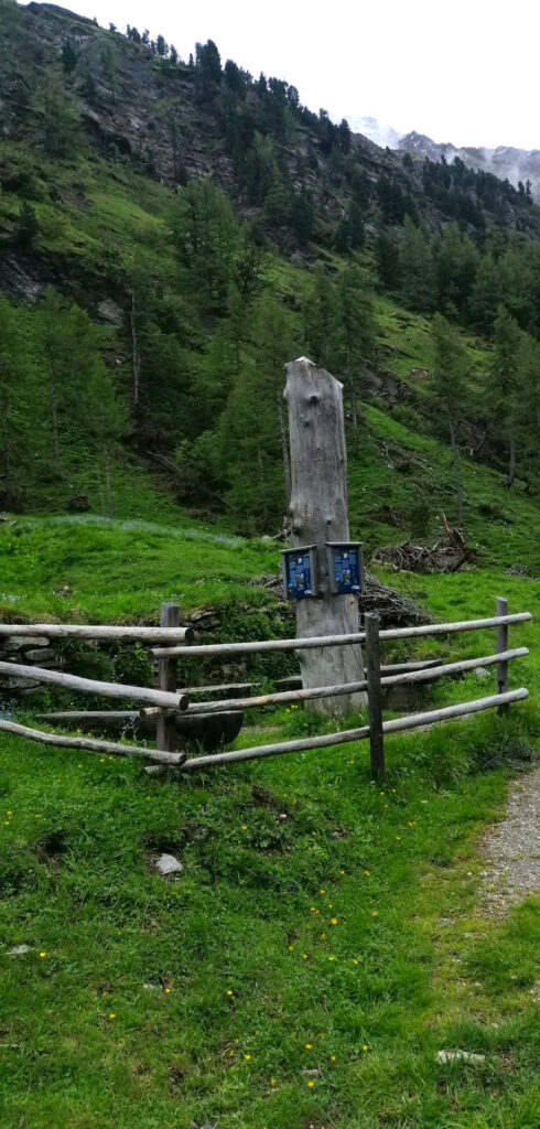 hoerbaeume-im-kalser-dorfertal-c-marco-ausserlechner
