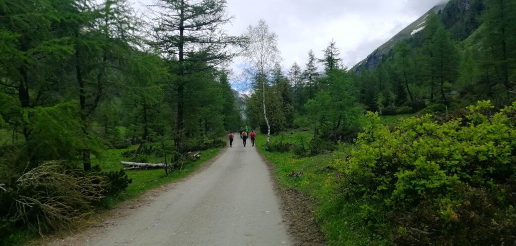 wanderweg-richtung-dorfersee-c-marco-ausserlechner